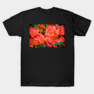 Rose 278 T-Shirt